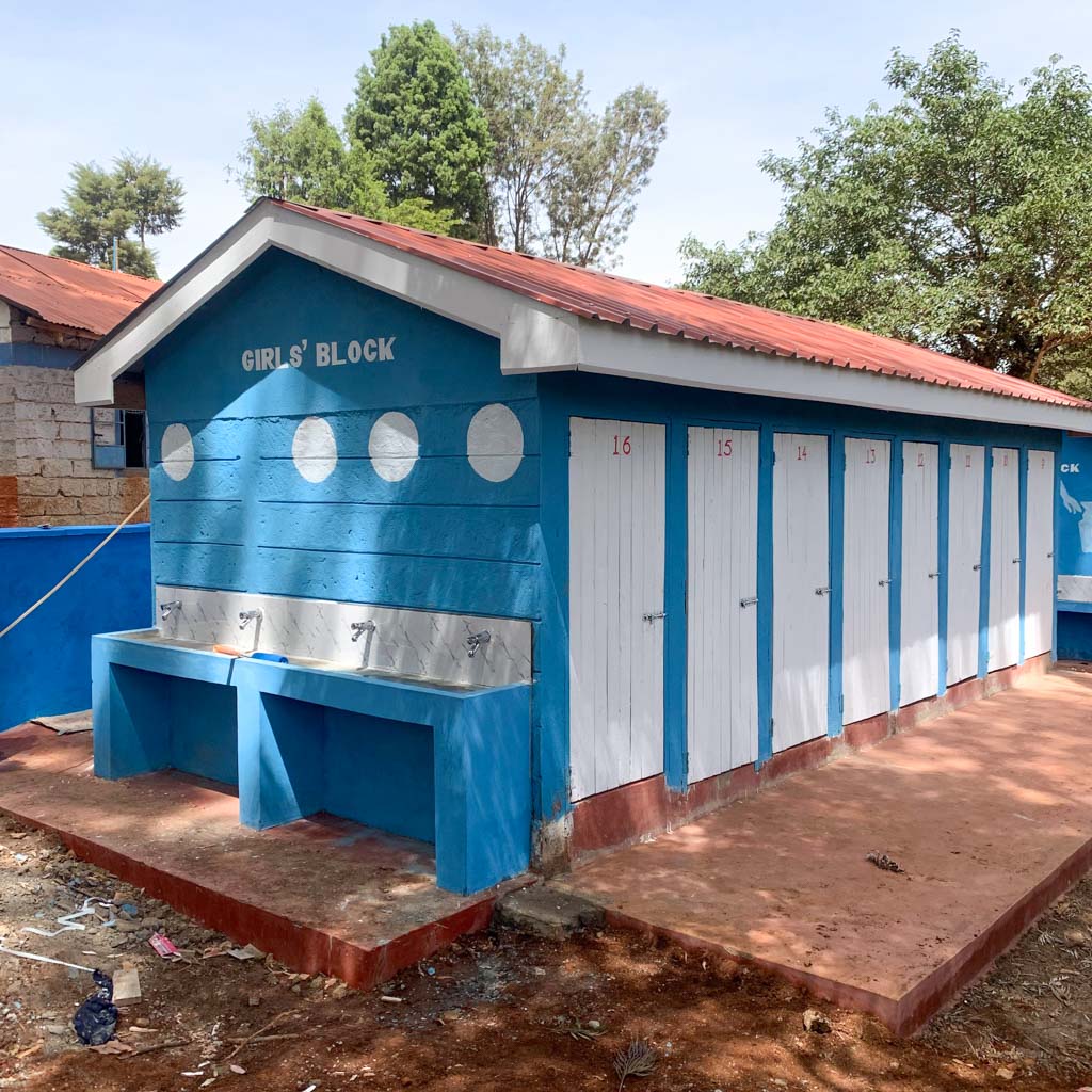 renovated toilets